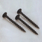 Drywall Screws